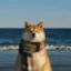 AFK Inu icon