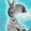 The 2 Kissing Rabbits icon