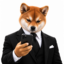 Inuvestor icon