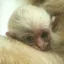 Justice for Leilani icon