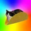 tacocat icon