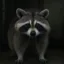 Rabies Lyssavirus icon