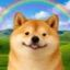 Special Inu icon