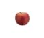 Apple icon