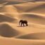 The Sisyphean Elephant icon