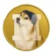 MomoCoin icon