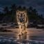 The Odyssean Dog icon
