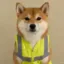 dog in vest icon