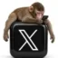 apeonx icon