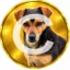 Crypto Coin icon