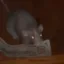 RUN THE ACTUAL RAT?????? NGA PLS icon