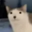 cet icon