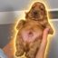 Fagottino Prezioso icon