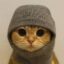 Socks & Pussy 500 icon