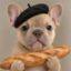 Frenchie icon