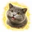 I Can Has Cheezburger icon