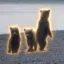 The 3 Orphans icon