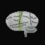 Cortex icon