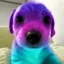 ray icon