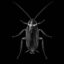 The Cockroach icon