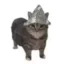 psyopcat icon