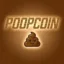 Poopcoin icon