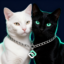 ChainCat icon
