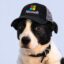 Good Lord Nicosoft icon