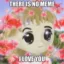 there is no meme i love you icon
