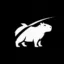 Grokkybara icon