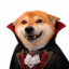 Vampinu icon