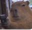 Capybara With A Gun icon