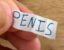 PENIS icon