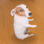 Sitting Dog icon