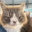 Ray-Ray icon