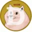 dogecoin icon