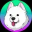 Samoyed icon