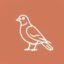 Internal Names Are Birds icon