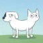 Dog wif Cat coin icon