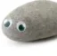 Pet Rock icon