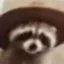 Jimothy In Fedora icon