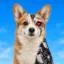 Corgi Puter Intelligence icon