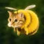 beecat icon