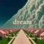 dreamcore icon