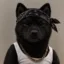 Nigga Inu icon