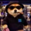 soldog icon