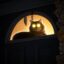 laser cat icon