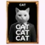 Official Cat Coin icon
