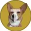 Trudycoin icon