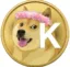 PumpkinCoin icon